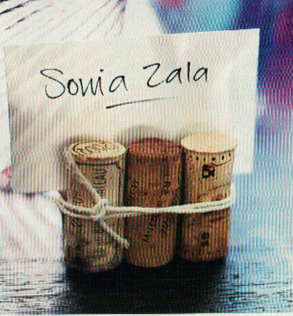 If you re having a sit down meal, you may choose to make these place cards. This style is slightly casual. If you'd like something a bit more 'formal' use a single cork. Make a slice to insert name card.