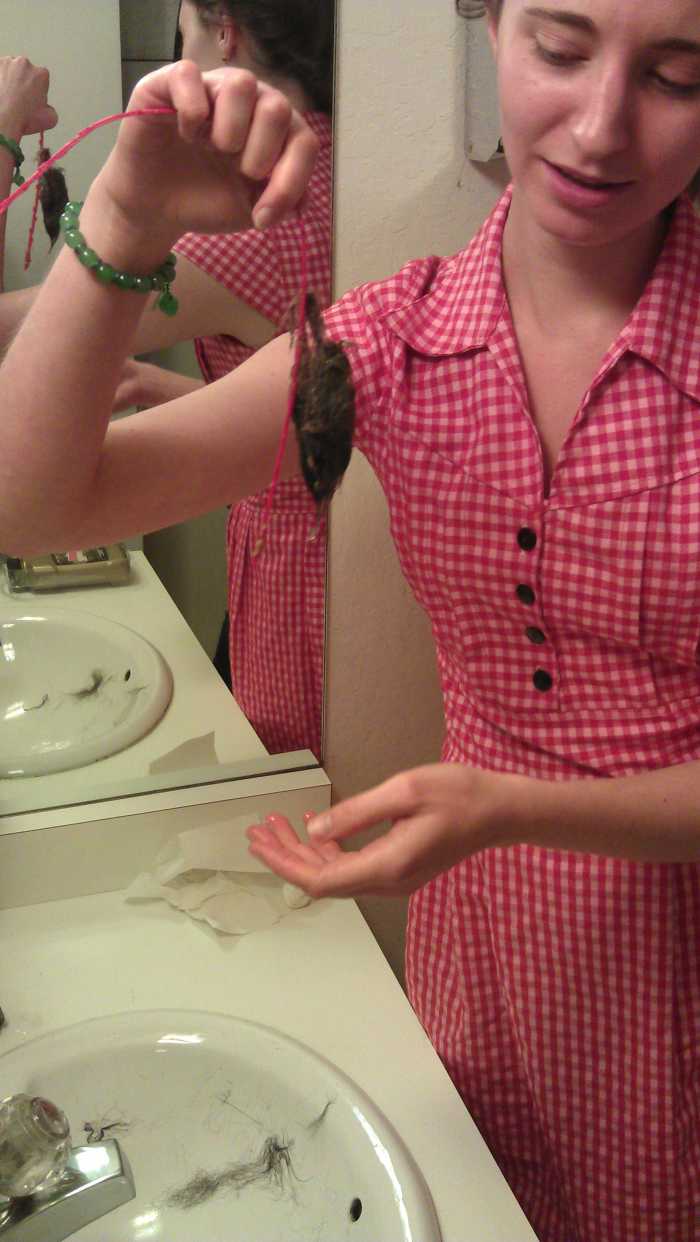 How to Fix a Clogged Drain with the Drano Snake Plus HubPages