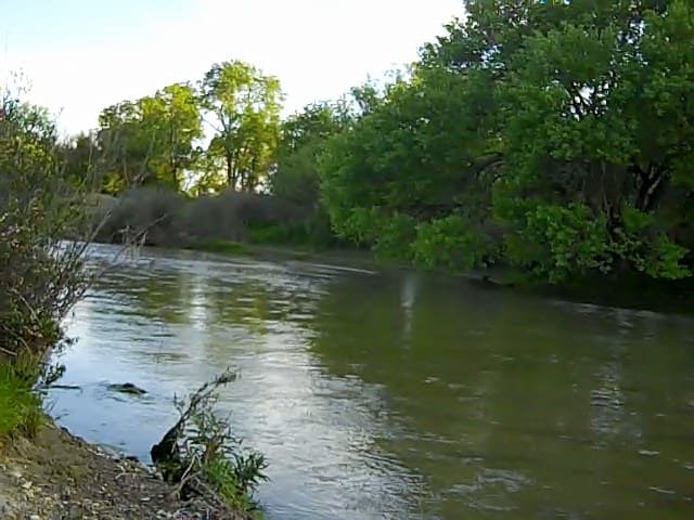 The Salinas River is most likely to be seen from February to June, depending upon the amount of rain that falls in North San Luis Obispo County