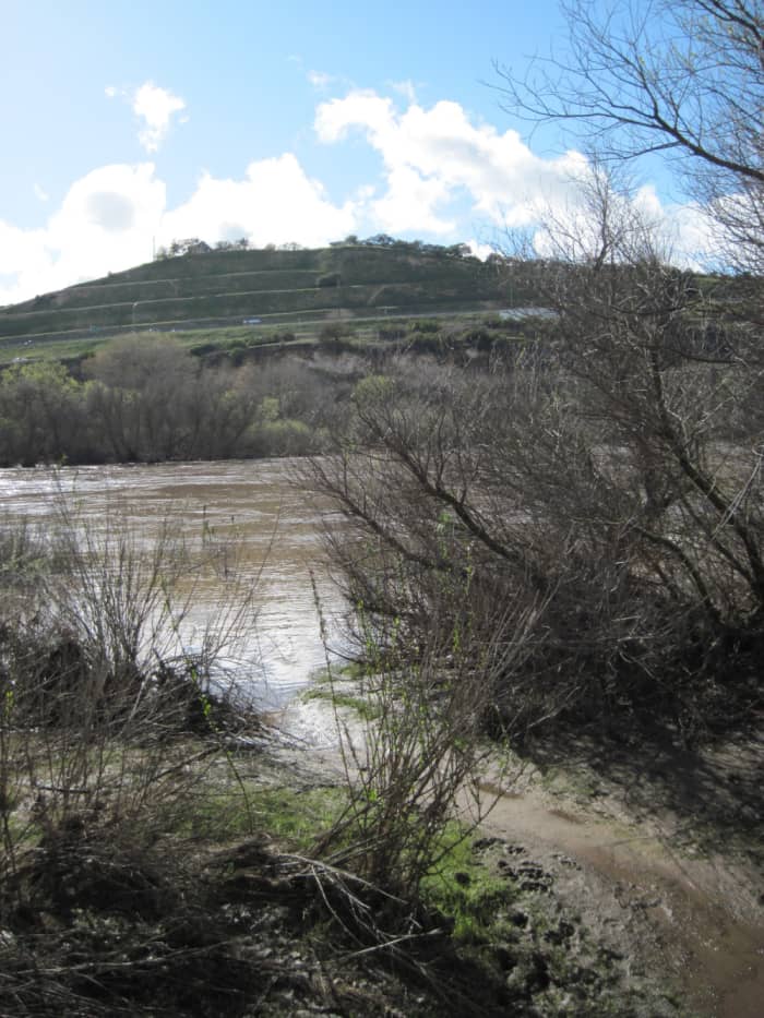 This was taken in March, 2011, after a season of record rainfall. For the first time I saw the water actually coming ashore in many places.