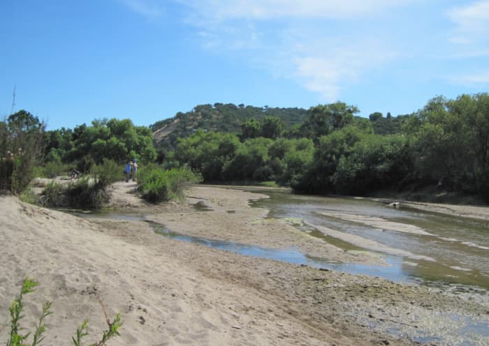 Water is beginning to disappear from the Salinas Riverbed in June and July