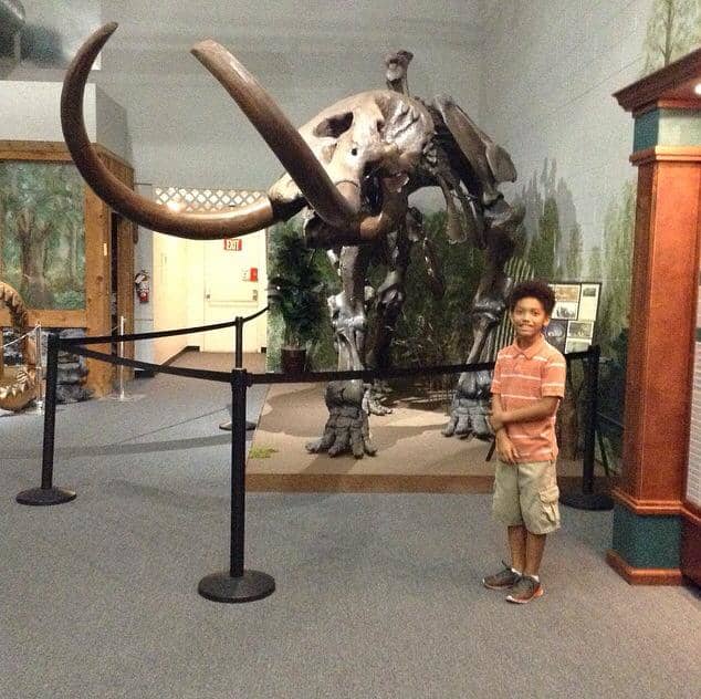My youngest son and I visited the Brevard Museum of History & Natural Science in Cocoa, Florida over the Summer break.