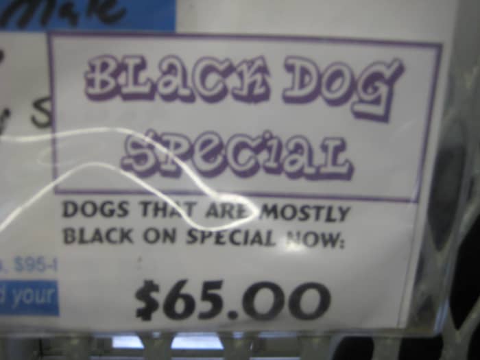 Some people think that black dogs look menacing and aggressive, and some people are just superstitious. For these reasons, shelters often have a tough time finding homes for black dogs and sometimes reduce their adoption fees.