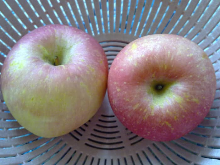 Point to the apples and ask your toddler what is it. Give him a few seconds to search the word in his little brain
