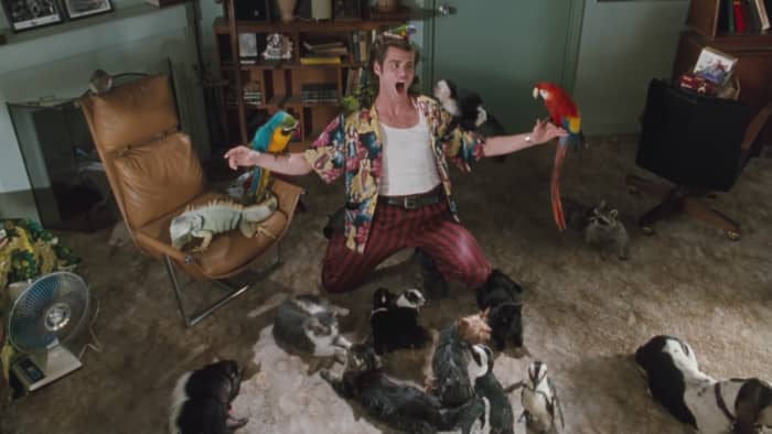 Carrey goes full throttle in this goofy comedy and how much you'll enjoy largely depends on how long you can stand his antics. He does grate, after a while.