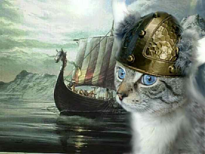 Cats A Viking's Best Friend? Owlcation