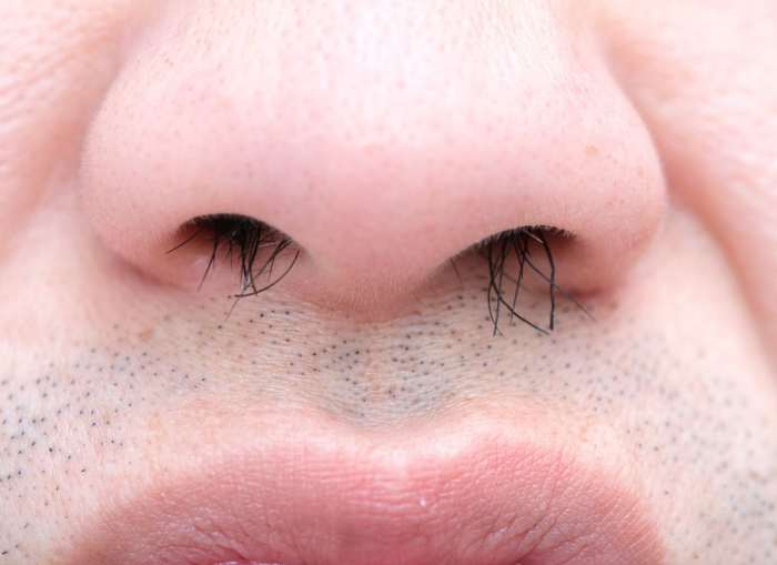 Is Plucking Nose Hairs a Health Risk? HubPages