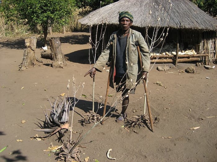 Civil war land mines took their toll on people; they also killed and maimed many animals in Gorongosa.