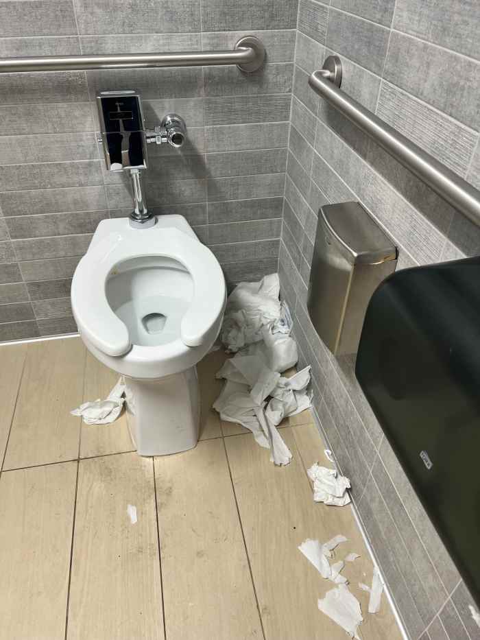 Poopy Toilet Paper on the Bathrooom Floor; A Phenomenon of Immigration