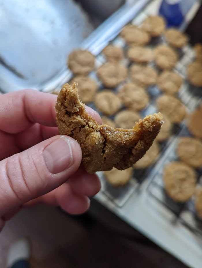 gingersnap-cookies-with-real-ginger-hubpages