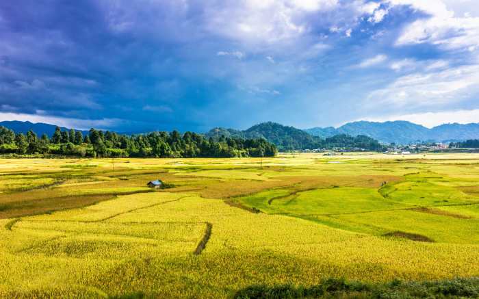 Ziro Valley, Arunachal Pradesh