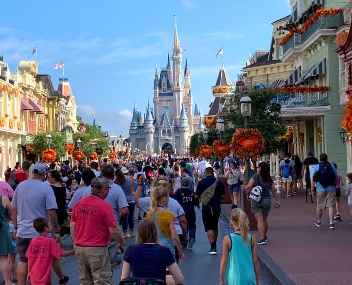 10 Tips First-Time Walt Disney World Visitors Need to Know - WanderWisdom