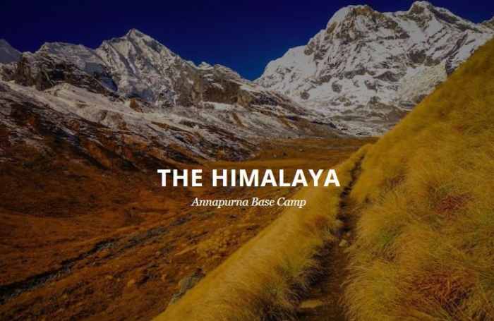 7 Best JavaScript Image Sliders to Check Out: The Ultimate List - HubPages