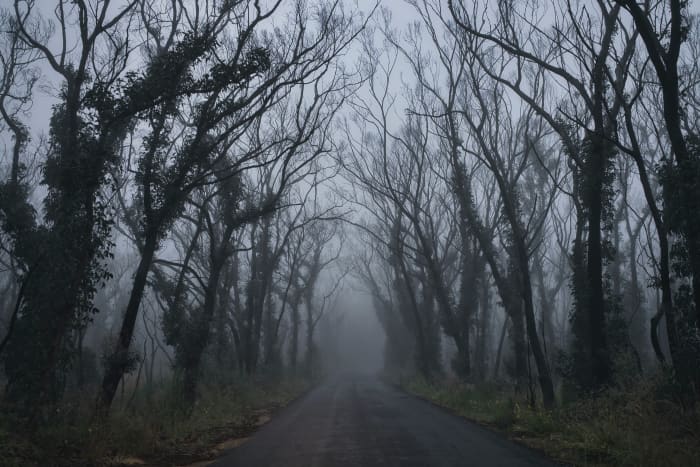 10 Most Haunted Roads In The World - Exemplore