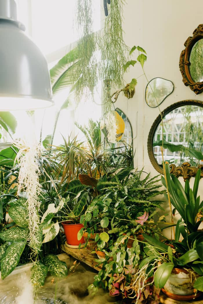  Woman gardening at home for sustainable living