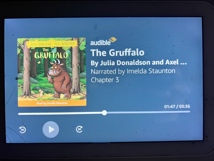 How to Use Alexa Echo Show to Make Homeschooling Fun for Little