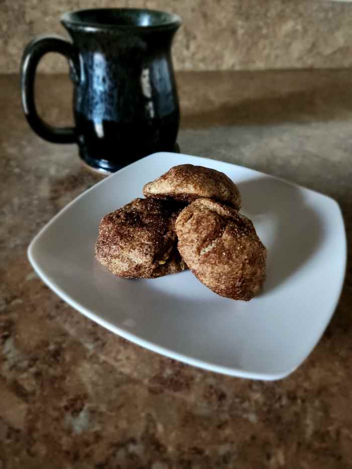 Amazing Air Fryer Snickerdoodle Cookie Recipe Delishably