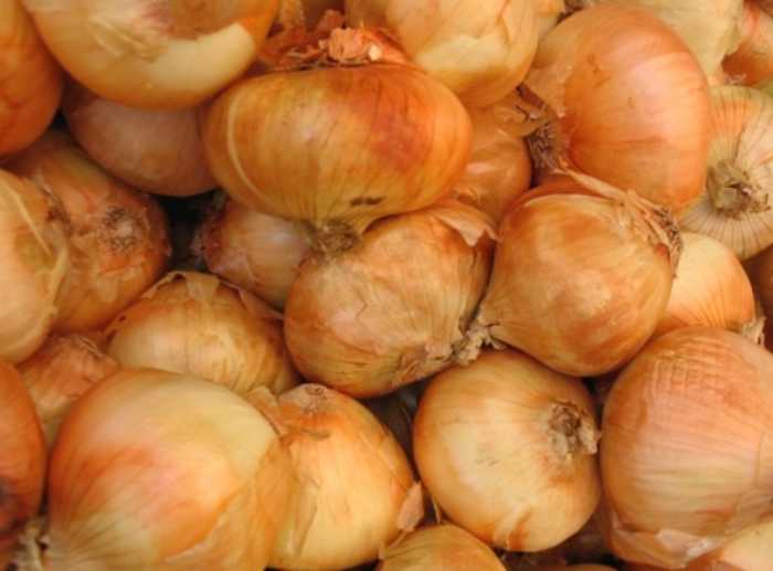 How to Grow Your Own Sweet Onions Dengarden