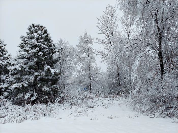 Living in a Snow Globe - An Ode to Minnesota Winter - LetterPile