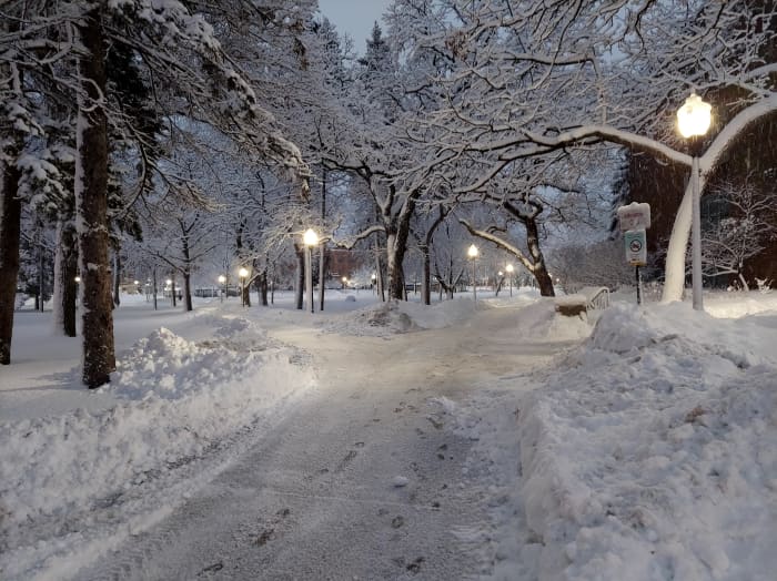 Living in a Snow Globe - An Ode to Minnesota Winter - LetterPile