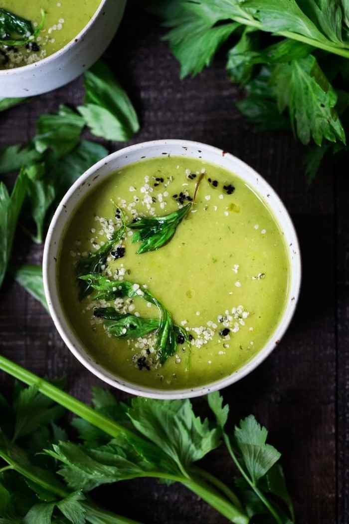 Celery Soup Recipes for a Healthy Light Meal HubPages