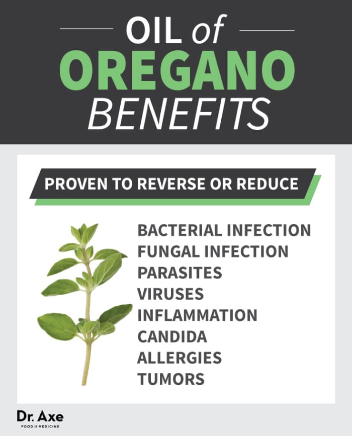 Oregano Oil Benefits and Uses HubPages