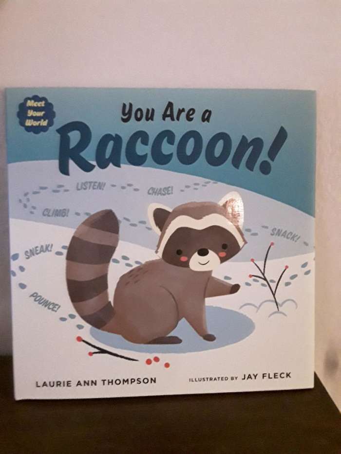 Bees and Raccoons As Part of Amazing Wildlife in Two Picture Books From ...