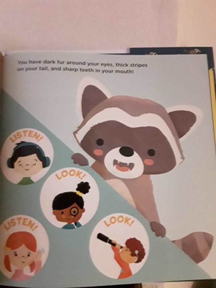 Bees and Raccoons As Part of Amazing Wildlife in Two Picture Books From ...