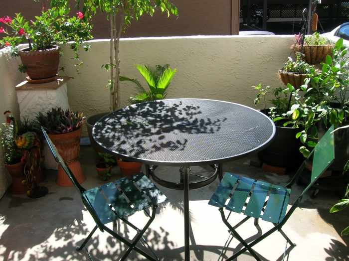 Tips for the Aspiring Urban Gardener HubPages