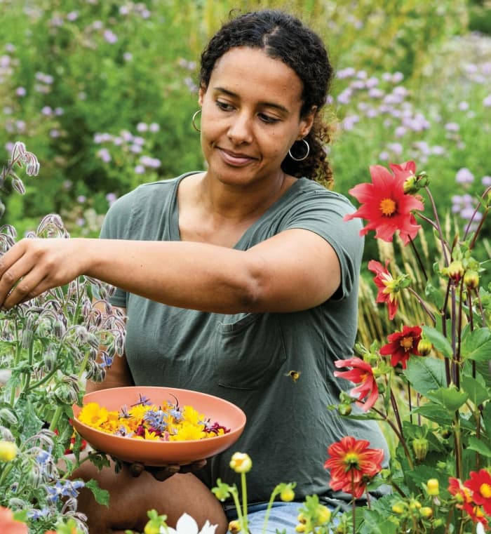 The Beginner Gardener's Guide to Growing Edible Flowers Dengarden