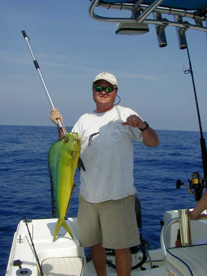 Simple Mahi Mahi Fishing Tips SkyAboveUs