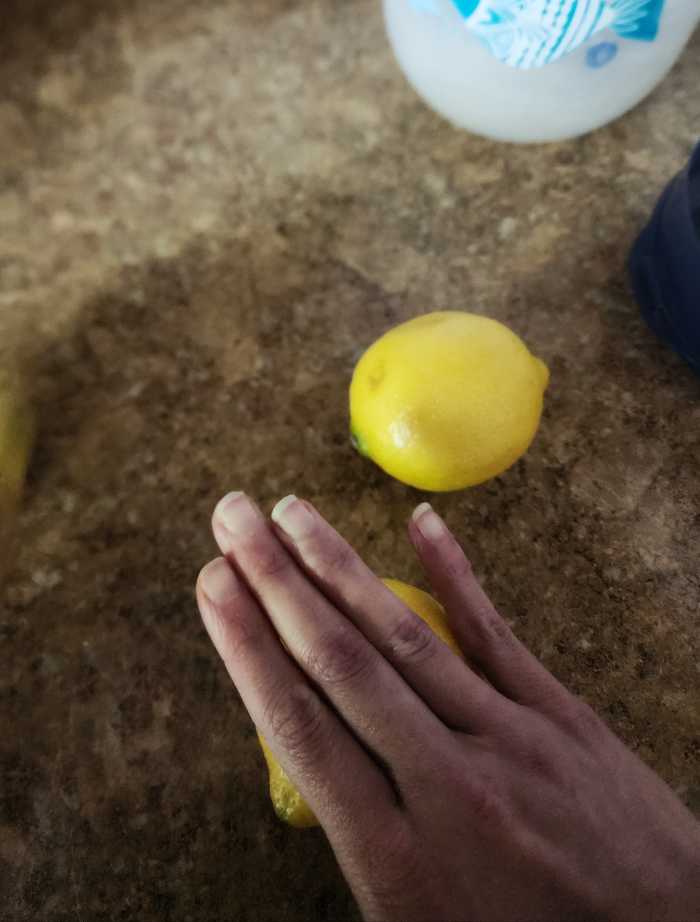 Homemade Lemonade With Food Network Trick Delishably