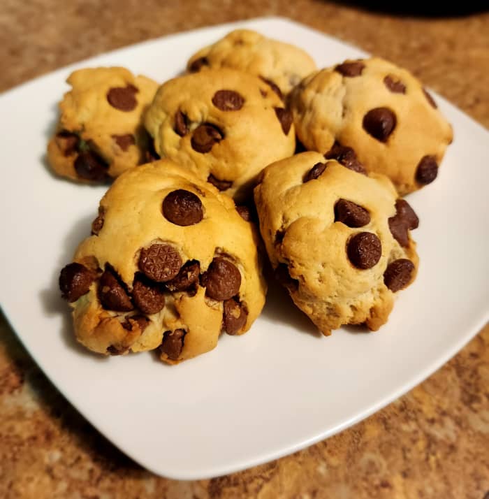 Air Fryer Chocolate Chip Cookie Recipe Delishably