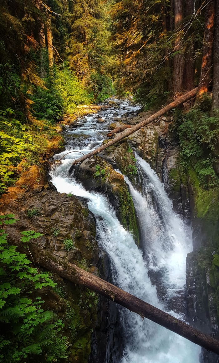 Explore Olympic National Park: A Comprehensive Guide - HubPages