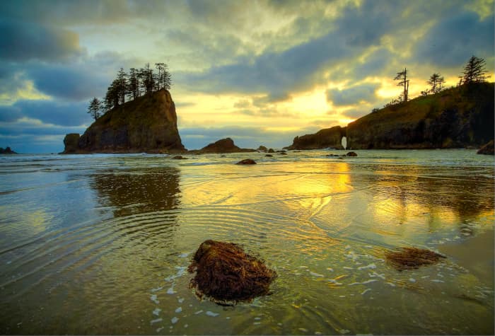 Explore Olympic National Park A Comprehensive Guide Hubpages