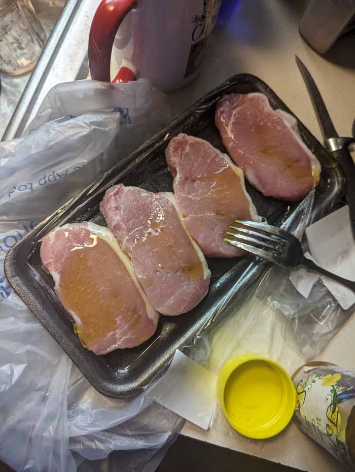 Pork Chops Grilled on an Electric Grill HubPages