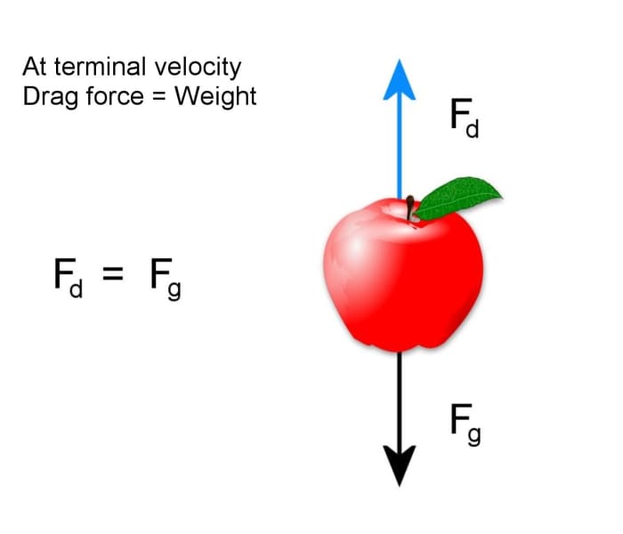 Terminal Velocity of a Human, Free Fall and Drag Force - Owlcation