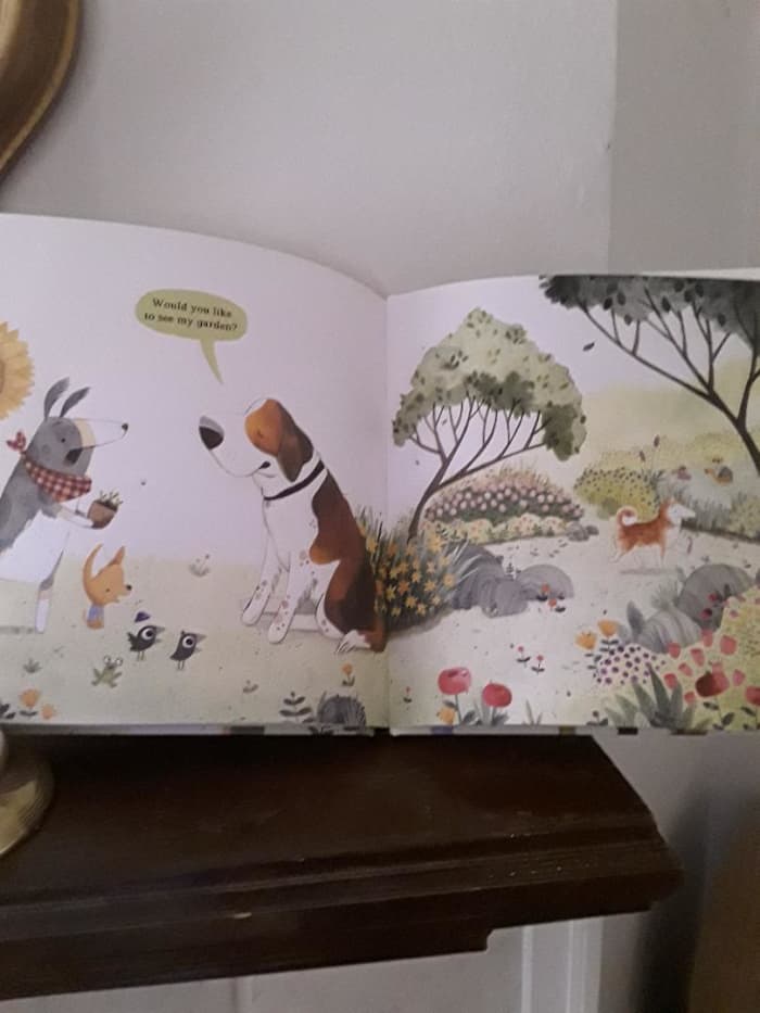 Appreciation for What You Have in Delightful Picture Book and Story for ...