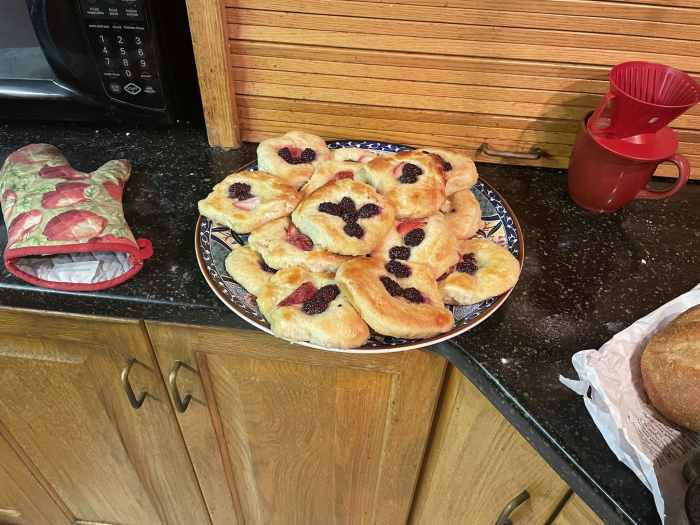 Clotted Cream and Fruit Kolache Recipe HubPages