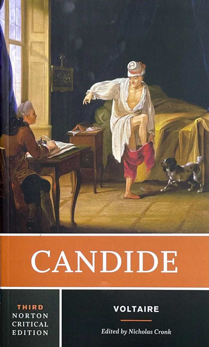 Reading Candide Today HubPages