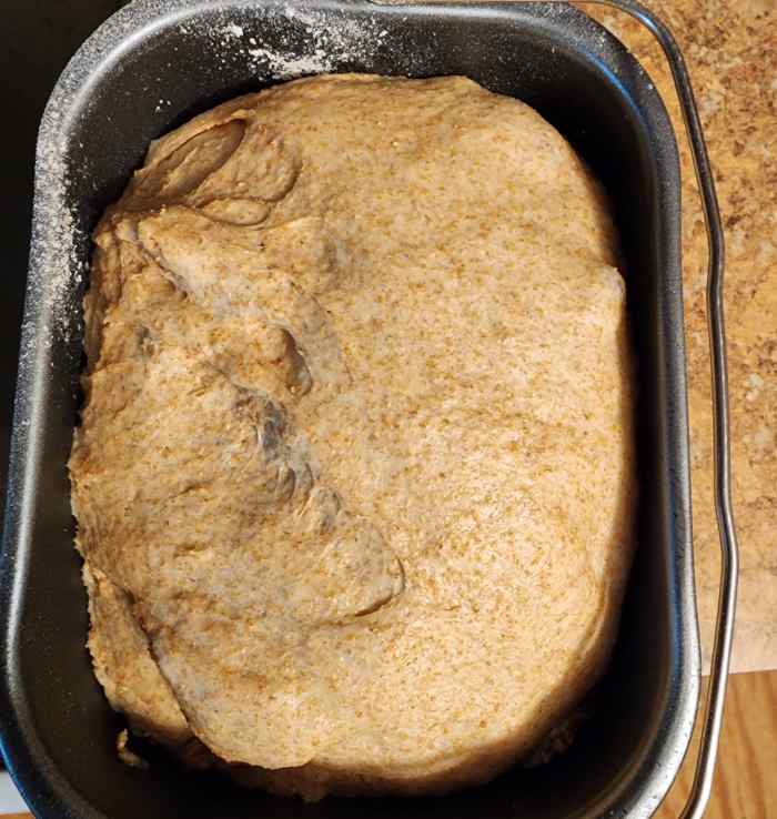 Whole Wheat Hot Dog and Hamburger Buns Bread Machine Recipe Delishably