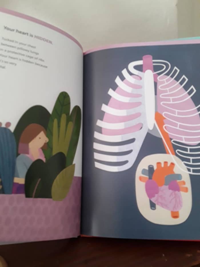 Learning about the heart in creatively written picture book for stem