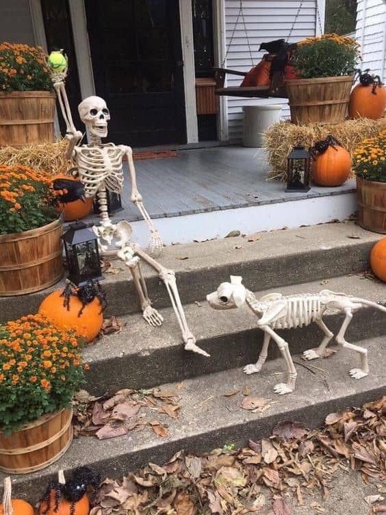 20+ Spooktastic Skeleton Halloween Decoration Ideas for Front Yard ...