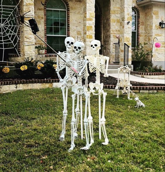 20+ Spooktastic Skeleton Halloween Decoration Ideas for Front Yard ...