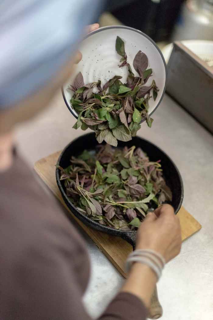 The StressRelieving Benefits of Holy Basil Tea HubPages