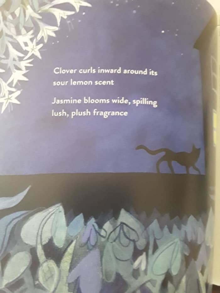 Animals of the Night in Gorgeously Illustrated Picture Book and Story ...