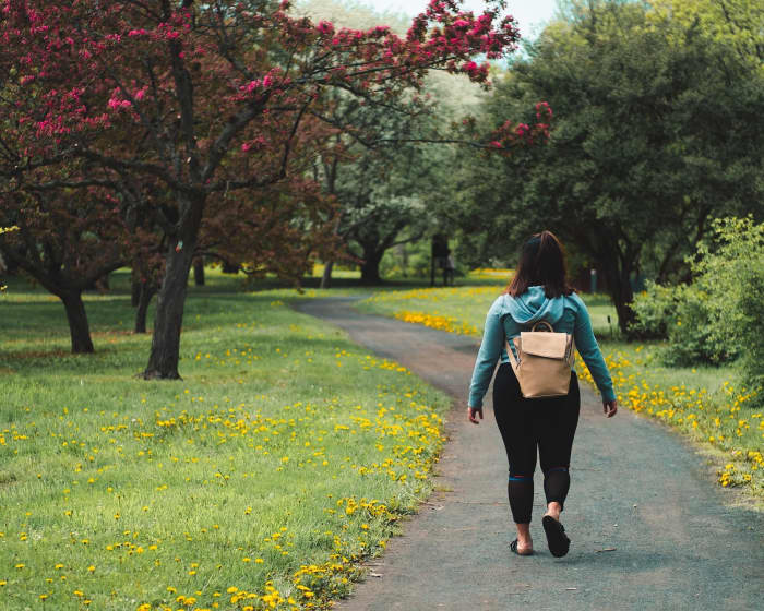 This walking path connects suburban and urban areas through a landscaped environment which serves as both as a destination, a linkage, and pedestrian refuge.
