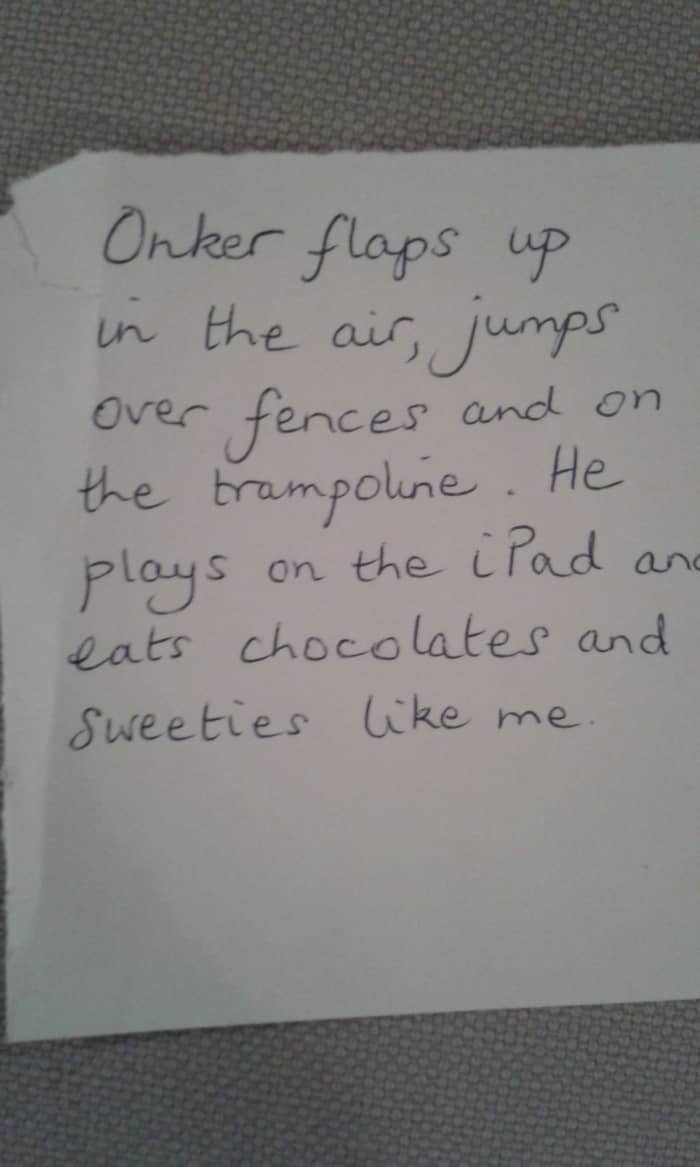 Onker - an imaginary friend. This shows a mind full of fun and frolics, a good choice of varied words and the use of the 'power of three' - flaps.., jumps..and on the trampoline. (dictated by my 6 year-old grandson)