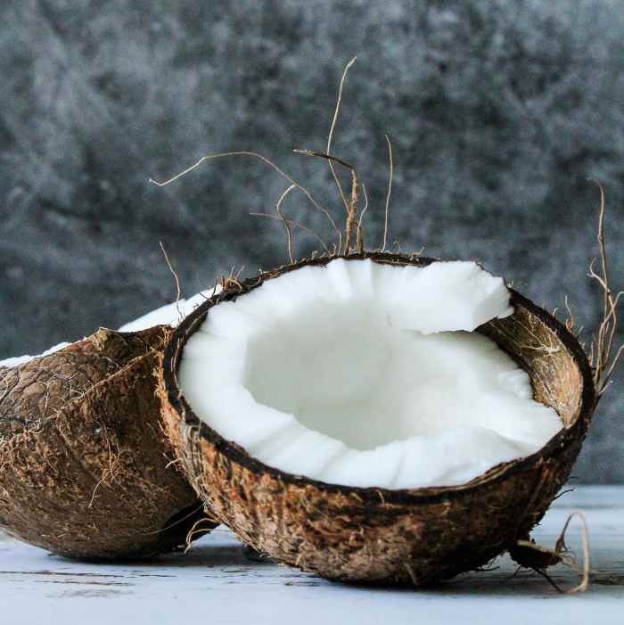 Coconut Oil for Dog Constipation Does It Work, and Is It Safe