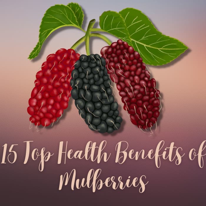 Did you know that in China, mulberry fruits and leaves are eaten for their extraordinary health benefits and as a health tonic?